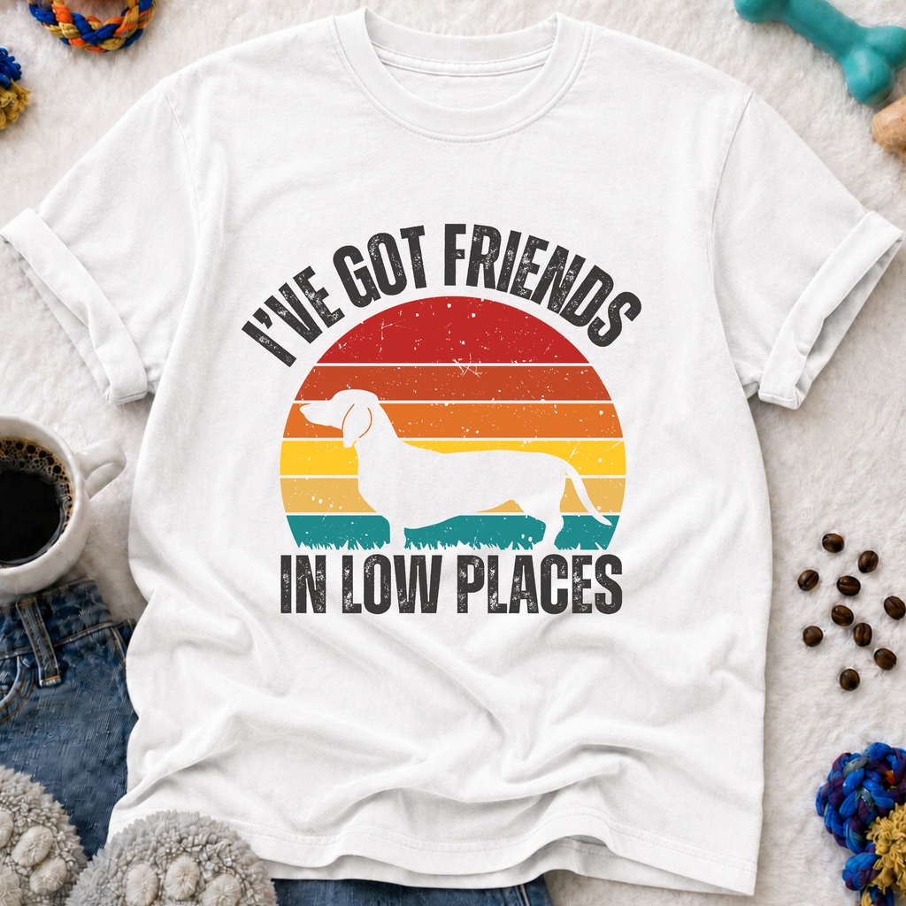 I've Got Friends in Low Places  T-Shirt