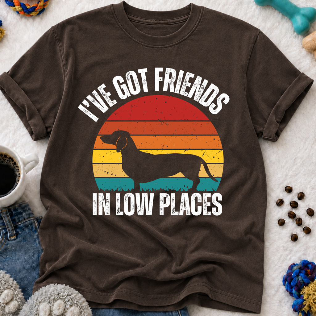 I've Got Friends in Low Places  T-Shirt