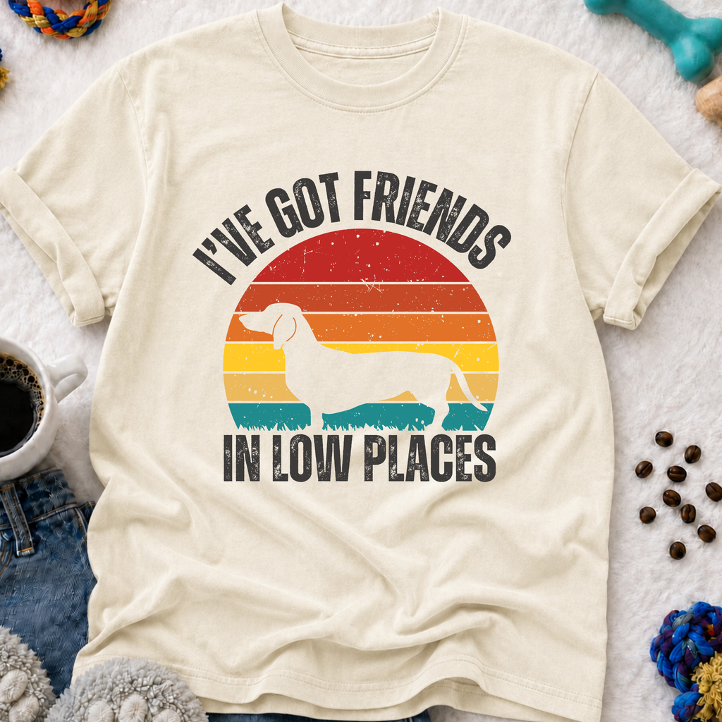 I've Got Friends in Low Places  T-Shirt