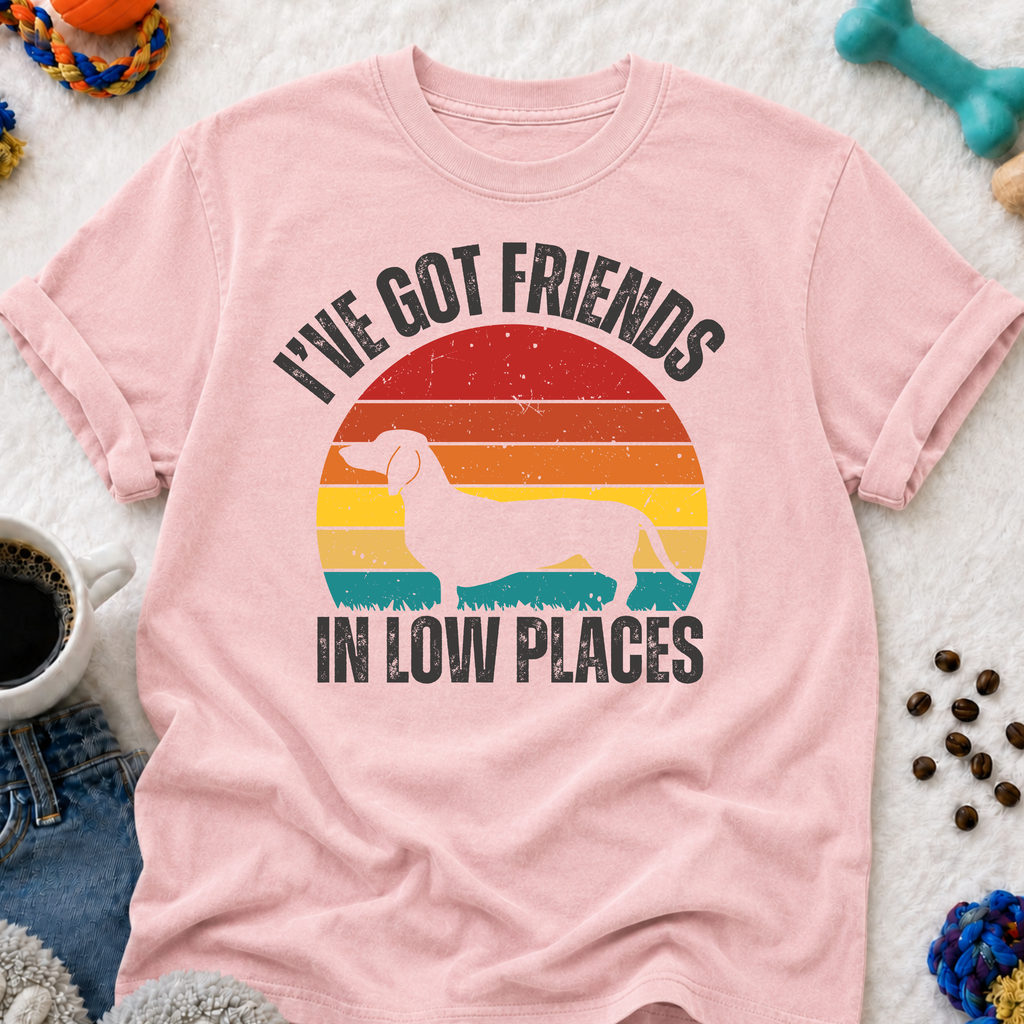 I've Got Friends in Low Places  T-Shirt