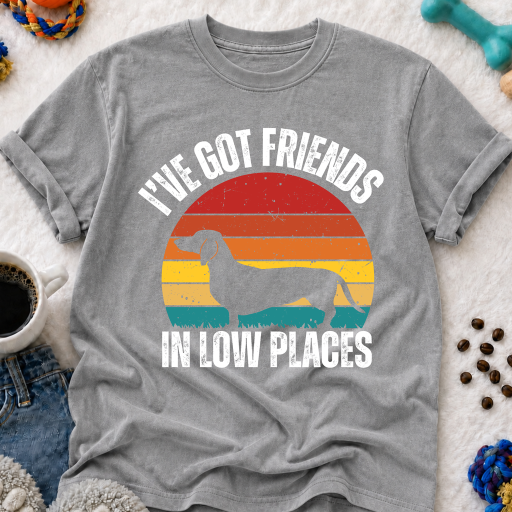 I've Got Friends in Low Places  T-Shirt