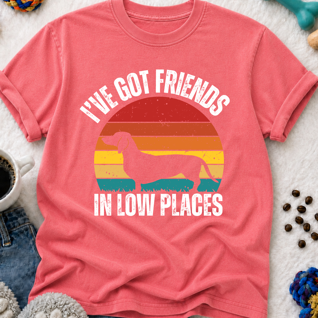 I've Got Friends in Low Places  T-Shirt