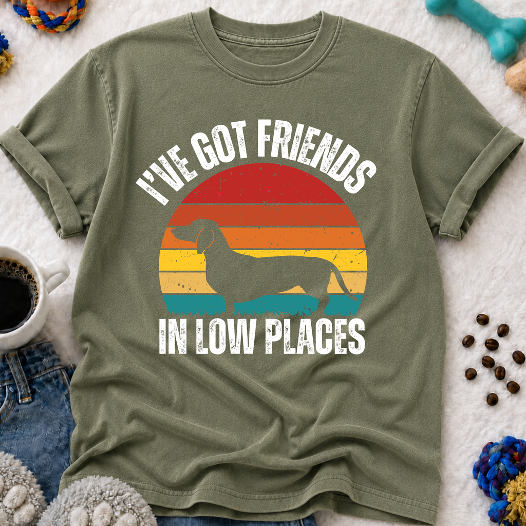 I've Got Friends in Low Places  T-Shirt